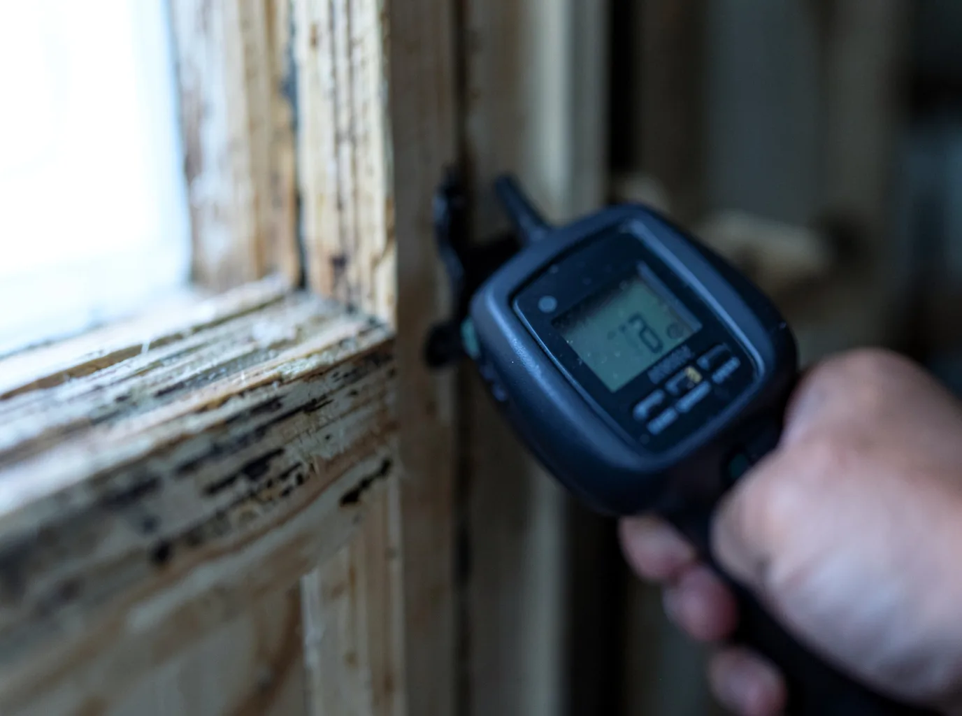Moisture Inspection And Documentation in Brunswick, OH
